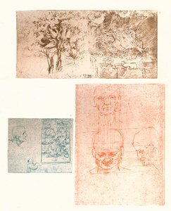 Drie tekeningen, ca. 1472-ca. 1519, 1883 door Leonardo da Vinci
