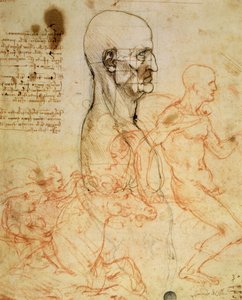 Torso van een man in profiel, het hoofd vierkant voor proportie, en schetsen van twee ruiters, c.1490 en c.1504