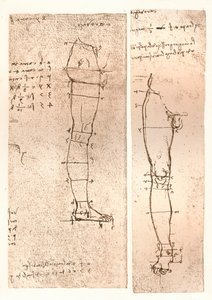 Twee tekeningen ter illustratie van de theorie van de proporties van het menselijk figuur, ca. 1472-ca. 1519, 1883