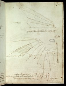 Vleugel. Vliegmachine tekening. Manuscript van Leonardo da Vinci