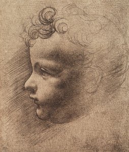Hoofd van een kleine jongen door Leonardo da school of Vinci