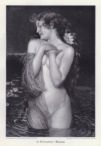 Waterlelie