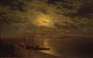 Maanverlichte nacht