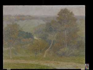 Heuvel en Holte