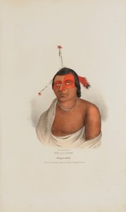 PE-A-JICK; Een Chippewa opperhoofd, uit de Aboriginal Portfolio door Lewis, James Otto