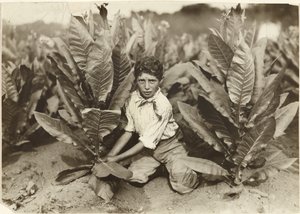 Tienjarige plukker op tabaksboerderij Gildersleeve door Lewis W. Hine
