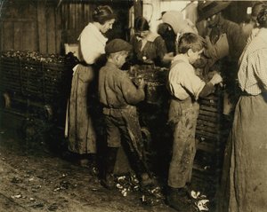 10-jarige Jimmie die al 3 jaar schilt (6 potten per dag) met een 11-jarige jongen die 7 potten schilt bij Varn und Platt Canning Co., Bluffton, South Carolina, 1913