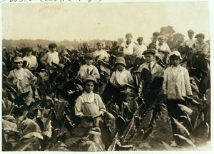 Goodrich Tabaksboerderij, nabij Gildersleeve, Connecticut, 1917 door Lewis Wickes Hine