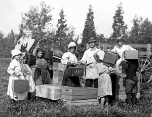 Onbekend beeld door Lewis Wickes Hine