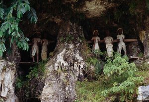 Begrafenisnissen met Tau Tau mortuariumfiguren, Marrante dorp, Tana Toraja, Sulawesi eiland, Indonesië