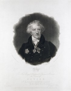 Georges Cuvier, Franse anatoom