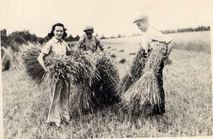 Foto van Adele Astaire tijdens de oogsttijd door Unbekannt Unbekannt