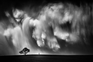 Dramatische lucht met een eenzame boom