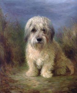 Dandie Dinmont Terrier door Lilian Cheviot