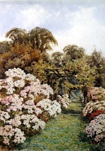 Een tuinpad