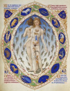Très Riches Heures du duc de Berry: Anatomische Man