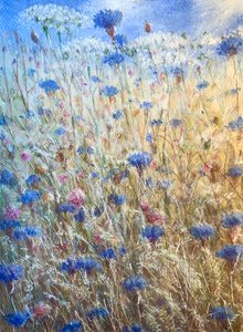 Korenbloemen 2