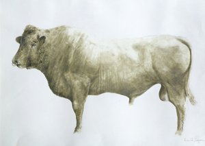 Islay Stier, 2004