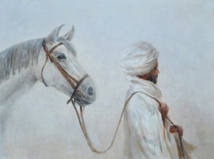 Rabari leidt grijs paard