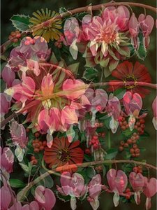 HANGING SPRING COLLAGE, 2017 (gemengde techniek)