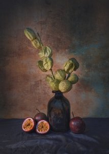  door Liu Xing