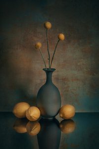  door Liu Xing