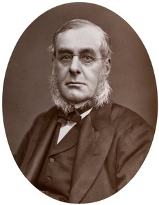 Admiraal Sir Richard Collinson, KCB, FRGS, plaatsvervangend meester van Trinity House, 1877 door Lock and Whitfield