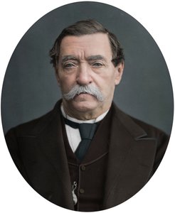 Lord Napier van Magdala, 1878 door Lock and Whitfield