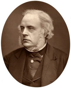 Rechts Hon John Bright, MP voor Birmingham door Lock and Whitfield
