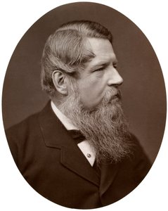 Right Hon Sir Stafford Henry Northcote, Bart, MP, Kanselier van de Schatkist, 1877 door Lock and Whitfield