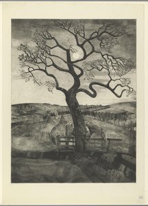 Paard in een weiland bij Etikhove door Lodewijk Schelfhout (signed by artist)
