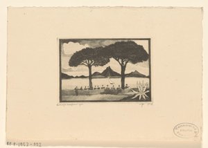 Twee bomen