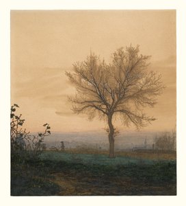 Landschap met een kale boom en een ploeger
