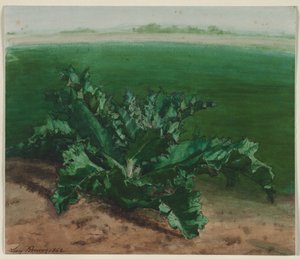 Studie van een plant, mogelijk distel door Léon Bonvin