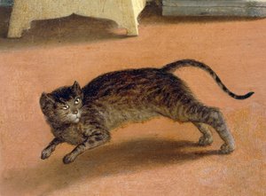 Geschrokken kat, detail van Recanati Annunciatie, ca 1534, door Lorenzo Lotto (1480-1556), olieverf op doek door Lorenzo Lotto