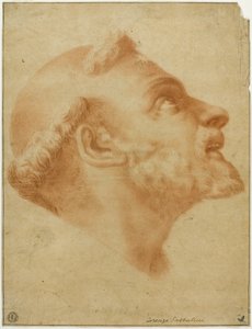 Opgeheven Hoofd van Sint Dominicus door Lorenzo Sabbatini