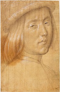 Hoofd Jeugd door Lorenzo di Credi