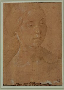 Portret van een vrouw, driekwart gezicht, haar in een net ...
