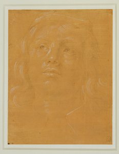 Portret van een jongeman, gezicht, opkijkend ...