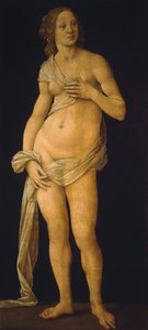 Venus door Lorenzo di Credi