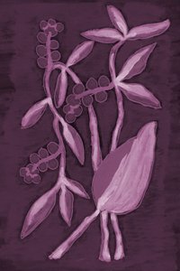 Deep Purple Botanicals