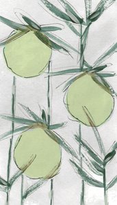  door Lori Ann Folz