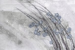 Schitterende wintertakken