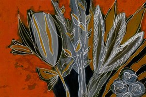  door Lori Ann Folz