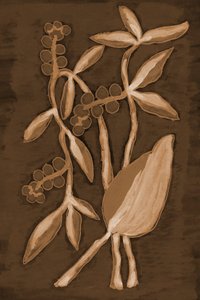 Biologische Sepia Botanicals