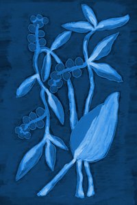 Zaaddoos 1 Deep Blue