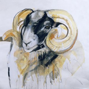 Langhoornschapen door Lou Gibbs