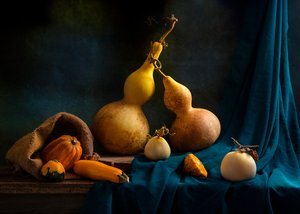 Stilleven met herfstpompoenen door Louie Luo