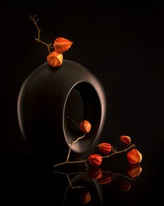 Orange Botanicals Zwarte vaas door Louie Luo
