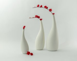 Rode vazen en bloemen